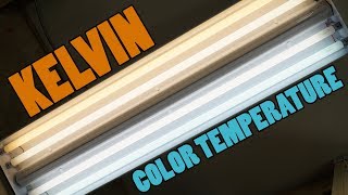 Light Bulb Color Temperature  WHAT ARE KELVINS 2700K 3000K 5000K [upl. by Lipkin989]