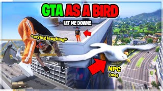 Seagull Trolling THE ENTIRE SERVER on GTA RP [upl. by Schulman]