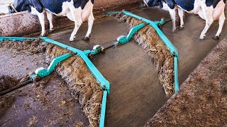 Amazing Modern Automatic Cow Farming Technology  Fastest Feeding Cleaning and Milking Machines [upl. by Noach]