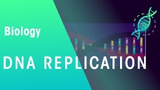 DNA Replication  Genetics  Biology  FuseSchool [upl. by Ajroj442]