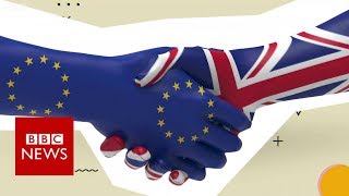 Brexit  What is the backstop  BBC News [upl. by Blair]