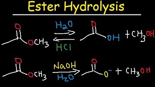 Ester Hydrolysis Reaction Mechanism  Acid Catalyzed amp Base Promoted Organic Chemistry [upl. by Cohn524]