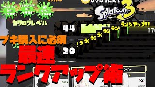 【攻略情報】ランクアップする方法！  スプラトゥーン3 [upl. by Llerahs]