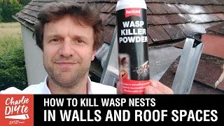 How to Kill Wasps Nests in Walls and Roof Spaces [upl. by Obau590]