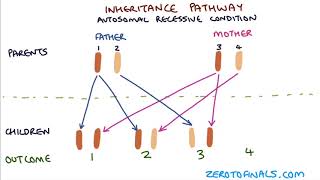 Understanding Autosomal Dominant and Autosomal Recessive Inheritance [upl. by Ived251]