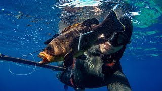 My first time Spearfishing in the Mediterranean Sea  PONZA ITALY [upl. by Htevi464]