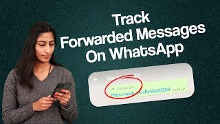 How Many Times Your Message Forwarded On WhatsApp Messenger  Whatsapp Forwarded Message Trick [upl. by Vanny95]