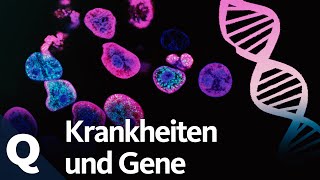 Eriksons epigenetisches Stufenmodell  Warum brauchen wir Krisen [upl. by Assilanna]