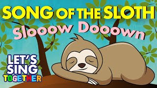 Song of the Sloth Slow Down [upl. by Ahsinaw]