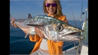 Fishing Nearshore Wrecks for KING MACKEREL Kingfish ft How To [upl. by Devad]