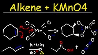 Alkene  KMnO4 Reaction [upl. by Ylrebmit]