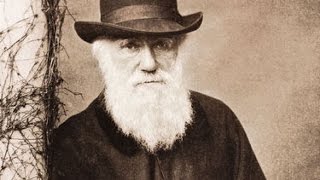 Planet Wissen  Charles Darwin und die Artenvielfalt [upl. by Nirrat895]