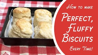 How to Make Perfect Fluffy Biscuits EVERY TIME 3 ingredients selfrising flour milk amp butter [upl. by Ileana]