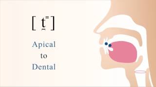 t̪⁼  unvoiced unaspirated apical dental stop [upl. by Zinnes]