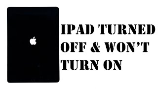 iPad Becomes Completely Dead Wont Turn On [upl. by Roxanne975]