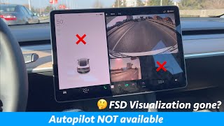 Tesla Autopilot not working NO FSD Visualization Cruise Control Sentry [upl. by Lupe]