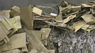 What Happens To All The Cardboard Packages We Recycle [upl. by Folger]