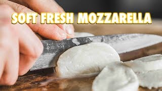 30 Minute Homemade Fresh Mozzarella Cheese [upl. by Broddie]