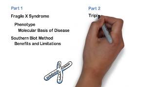 Repeat Expansion Diagnostic Techniques Part 1 Southern Blot [upl. by Sill282]