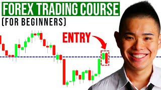 The Ultimate Forex Trading Course For Beginners [upl. by Aerdnat803]