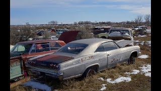 Salvage yard in Idaho with 8000 old cars [upl. by Enyahs97]