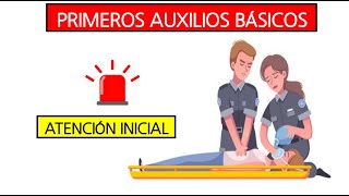 Primeros auxilios básicos y avanzados Evaluación de la Escena [upl. by Bohannon]