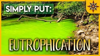 Eutrophication Explained [upl. by Hamas]