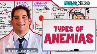 Hematology  Types of Anemias [upl. by Nimajeb]