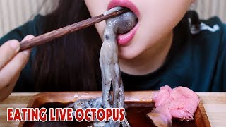 ASMR LIVE octopus challenge exotic food eating sound part 2LINHASMR [upl. by Yetti704]