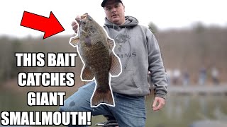 This Bait Catches Giant Early Spring Smallmouth Bass Raystown Lake Bass Fishing Tournament [upl. by Aehtorod]