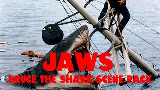 Bruce The Shark Scene Pack  Jaws [upl. by Irvine]