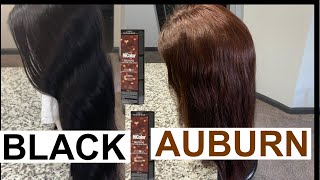 HOW TO GO FROM BLACK TO AUBURN BROWN HAIR  NO BLEACH [upl. by Lillian]