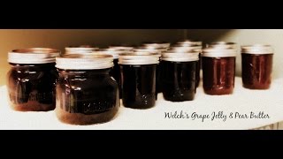 Canning Welchs Grape Jelly from Bottled Juice [upl. by Annim640]