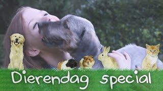 HELPEN IN DIERENASIEL  Dierendagspecial [upl. by Akiner733]