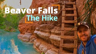 Full HIKE to BEAVER FALLS  The best daytrip in Havasupai [upl. by Aerdnaid]