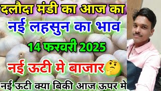 दलौदा मंडी आज का नई लहसुन का भाव 14 फरवरी 2025 new ooty garlic rate today daloda mandi [upl. by Libby264]