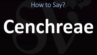 How to Pronounce Cenchreae CORRECTLY [upl. by Ylekalb]