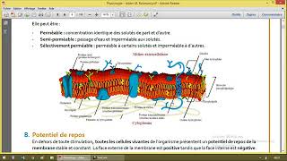 Electrophysiologie [upl. by Sungam]