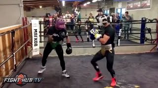 TJ Dillashaw vs Vasyl Lomachenko  BOTH GO AT IT IN MMA VS BOXING HEATED SPARRING [upl. by Atnauqal]