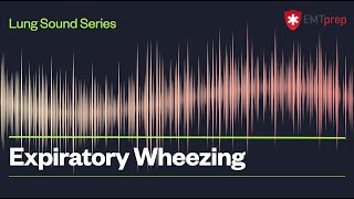 Expiratory Wheezing  EMTprepcom [upl. by Isherwood595]