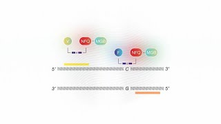 How it Works TaqMan SARSCoV2 Mutation Panel [upl. by Laleb]