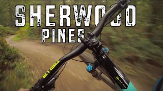 Sherwood Pines Mtb Red RouteJumps and Downhill Trails [upl. by Jeraldine]