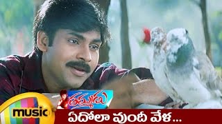 Thammudu Telugu Movie Songs  Kala Kalalu Music Video  Pawan Kalyan  Preeti  Mango Music [upl. by Petulia]