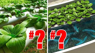 Hydroponics VS Aquaponics Heres Which Ones REALLY Better [upl. by Genie]