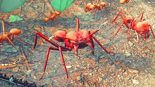 These New Leaf Cutter Ants Destroy Everything in Empires Of The Undergrowth [upl. by Laith]