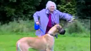 Grandma Gets Pulled By Dog FUNNY [upl. by Kimber350]