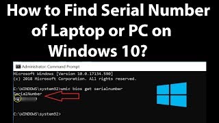 How to Find Serial Number of Laptop or PC on Windows 10 [upl. by Krause]