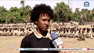 Live Streaming TIGRAI TELEVISION [upl. by Erdeid431]