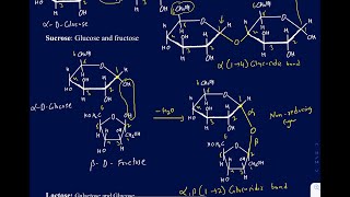 How to identify the glycosidic linkage in Maltose lactose sucrose starch glycogen and cellulose [upl. by Ferna]