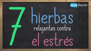 7 hierbas relajantes contra el estrés [upl. by Elrahc61]